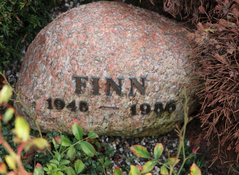 Finn   .JPG